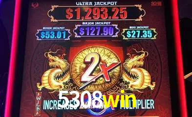 VIP Casino 5308win