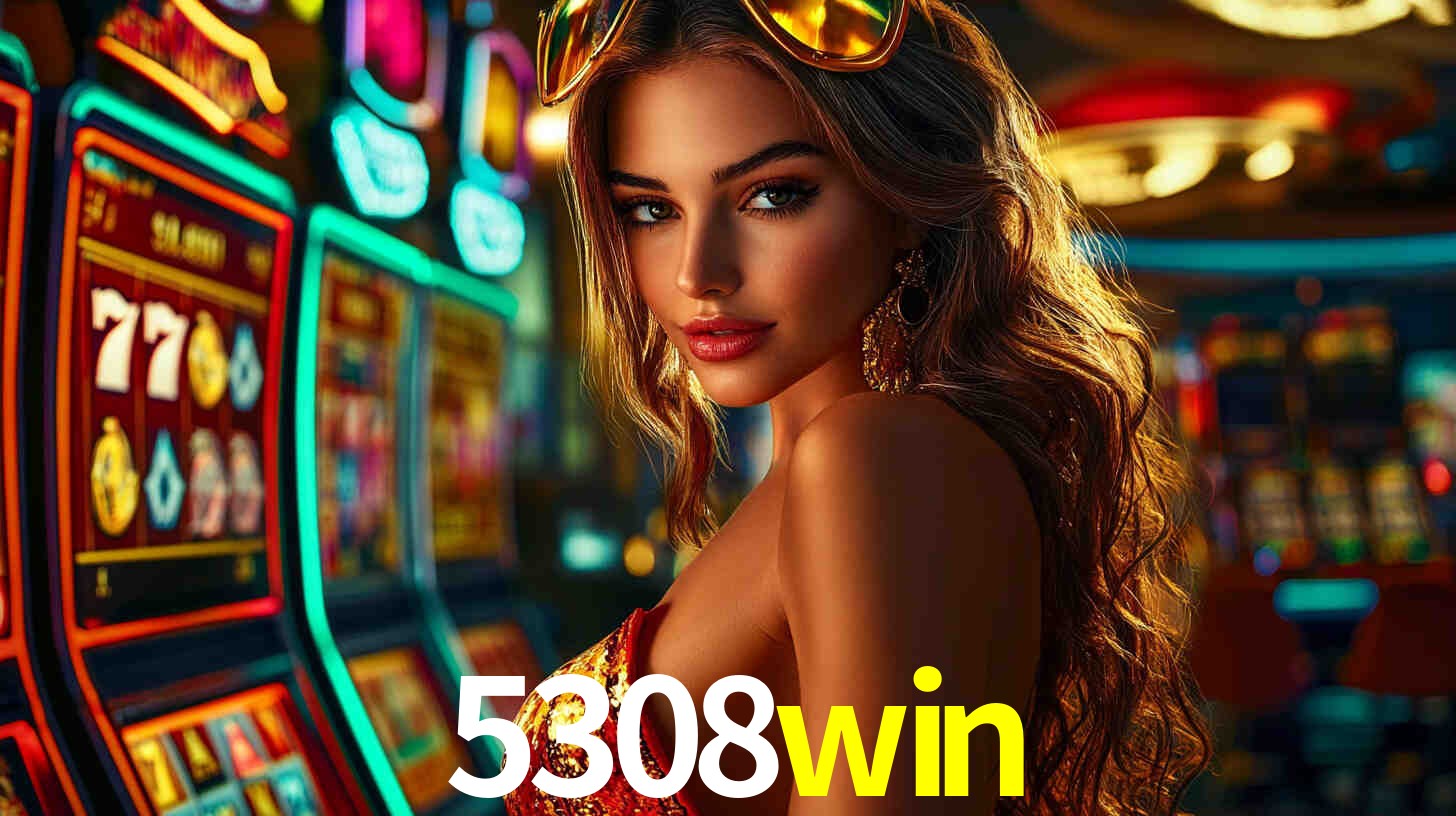 5308win App Interface