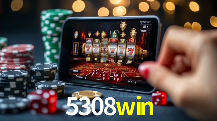 Premium Interface 5308win