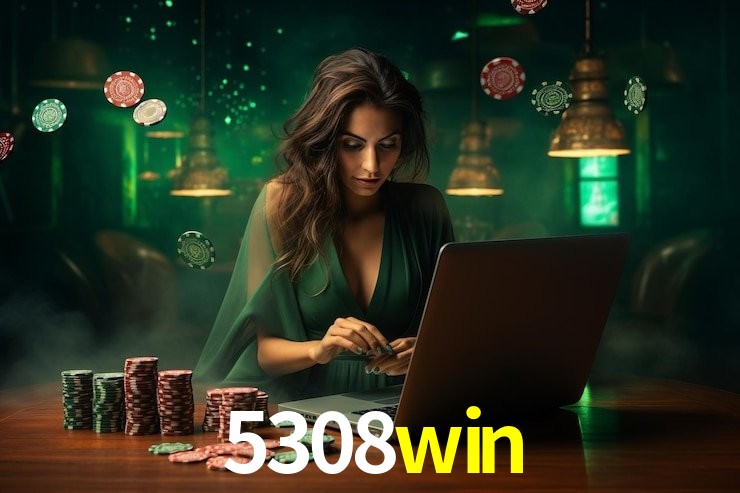 5308win App Interface